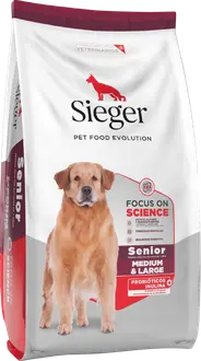 Sieger Perro Senior Raza Mediana y Grande