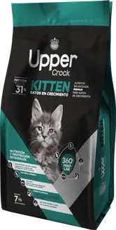 Upper Crock Kitten