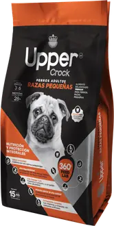Upper Crock Perro de Raza Pequeña