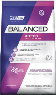 Vitalcan Balanced Kitten