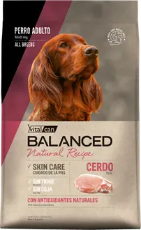 Vitalcan Balanced Natural Recipe Perro Sabor Cerdo