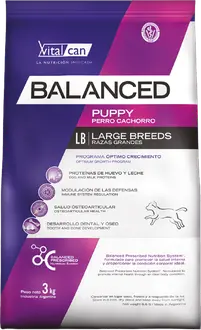 Vitalcan Balanced Perro Cachorro Raza Grande