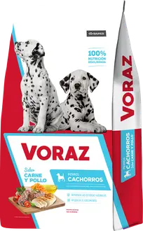 Voraz Cachorros