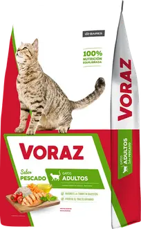 Voraz Gato Adulto