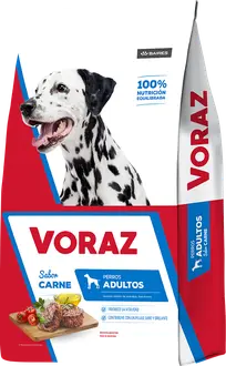 Voraz Perros Adultos